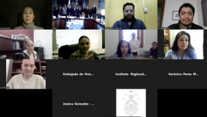 2024 Activity Report and Approval of the 2025 Work Plan of the IRPMZ, Galería, foto 4